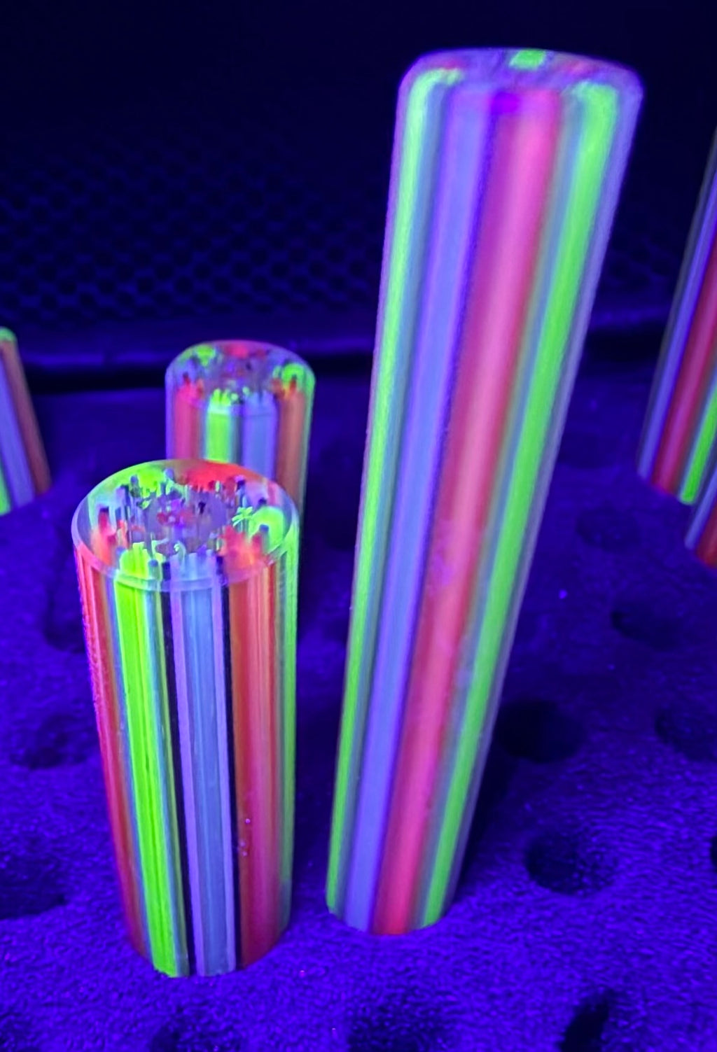 ELECTRIC UV FOREST FESTIVAL